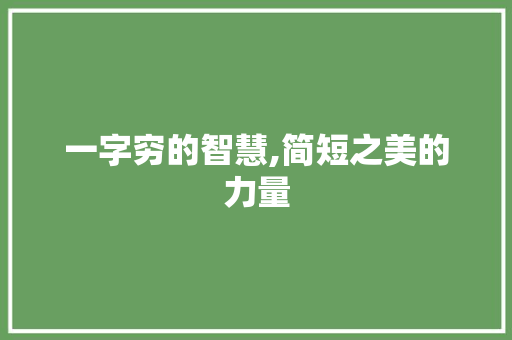 一字穷的智慧,简短之美的力量