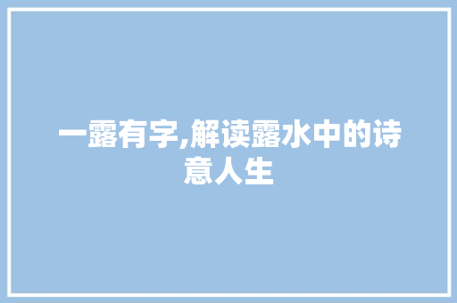 一露有字,解读露水中的诗意人生