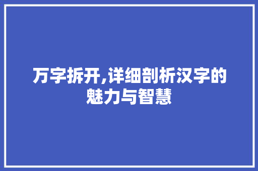 万字拆开,详细剖析汉字的魅力与智慧