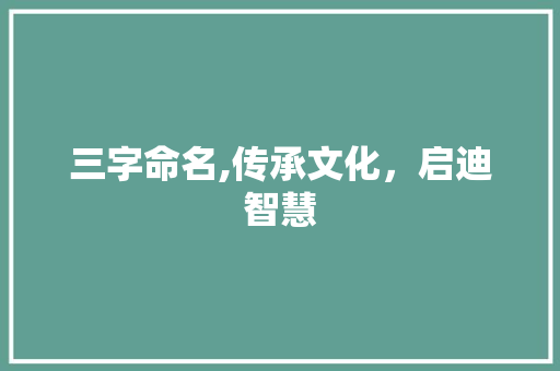 三字命名,传承文化，启迪智慧 商业文案