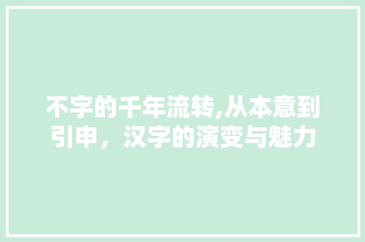 不字的千年流转,从本意到引申，汉字的演变与魅力 写作素材