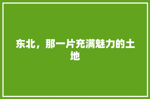 东北，那一片充满魅力的土地