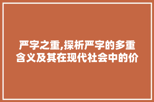 严字之重,探析严字的多重含义及其在现代社会中的价值