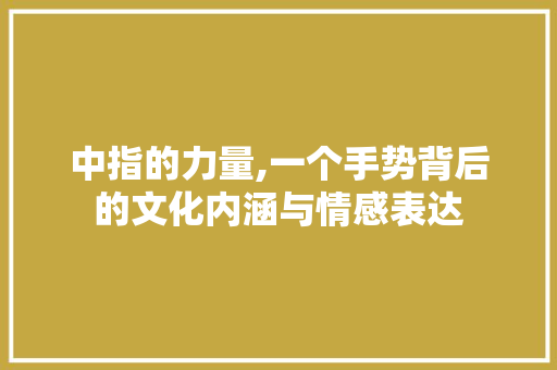 中指的力量,一个手势背后的文化内涵与情感表达