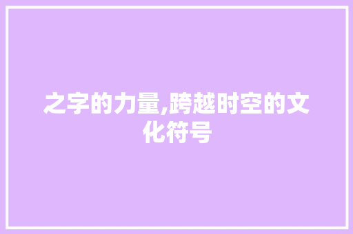 之字的力量,跨越时空的文化符号 简历模板