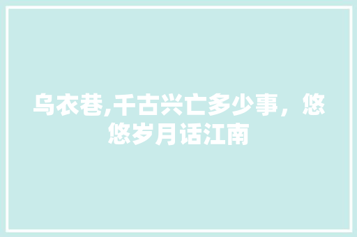 乌衣巷,千古兴亡多少事，悠悠岁月话江南