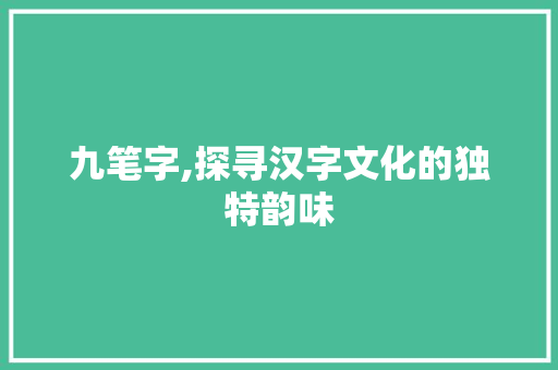 九笔字,探寻汉字文化的独特韵味