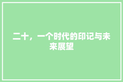 二十，一个时代的印记与未来展望