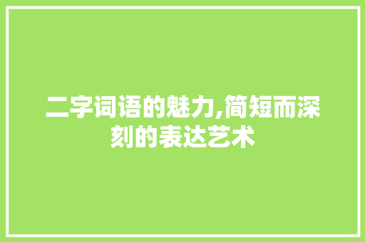 二字词语的魅力,简短而深刻的表达艺术
