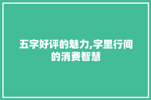 五字好评的魅力,字里行间的消费智慧 诗歌创作