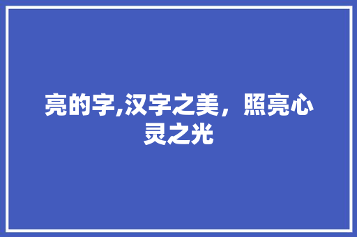 亮的字,汉字之美，照亮心灵之光