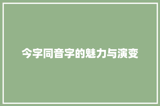 今字同音字的魅力与演变