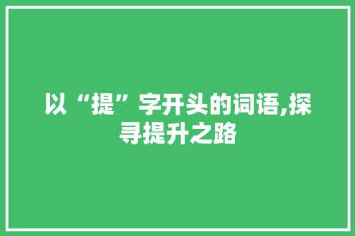 以“提”字开头的词语,探寻提升之路