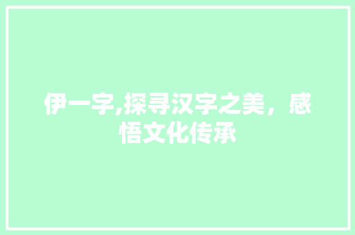 伊一字,探寻汉字之美，感悟文化传承