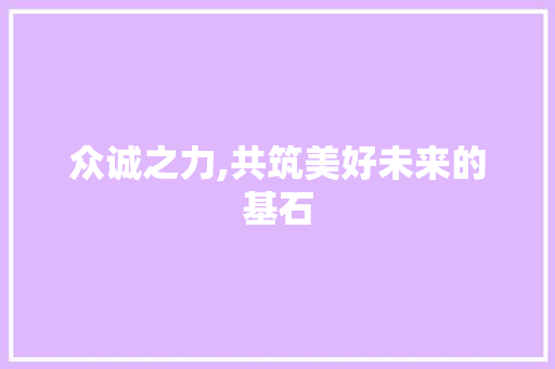 众诚之力,共筑美好未来的基石