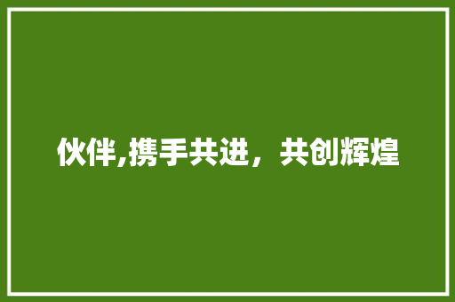伙伴,携手共进，共创辉煌 报告写作