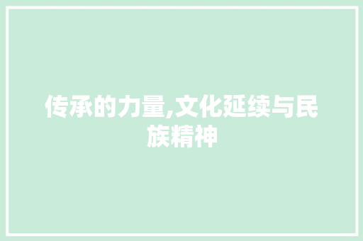 传承的力量,文化延续与民族精神