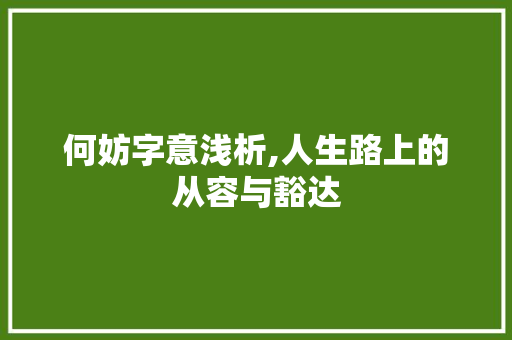 何妨字意浅析,人生路上的从容与豁达 报告写作