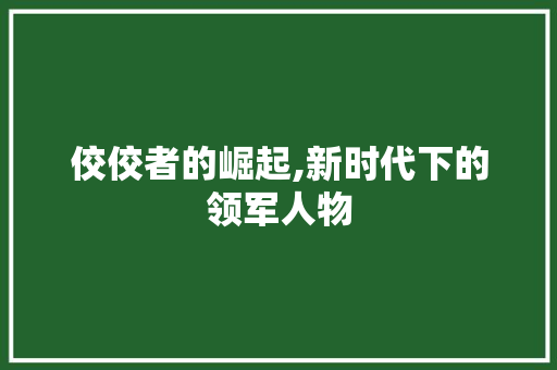 佼佼者的崛起,新时代下的领军人物
