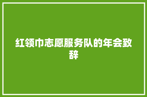 红领巾志愿服务队的年会致辞 范文赏析