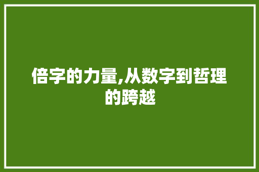 倍字的力量,从数字到哲理的跨越 写作技巧