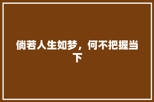 倘若人生如梦，何不把握当下