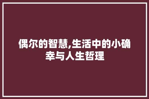 偶尔的智慧,生活中的小确幸与人生哲理