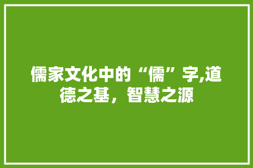 儒家文化中的“儒”字,道德之基，智慧之源