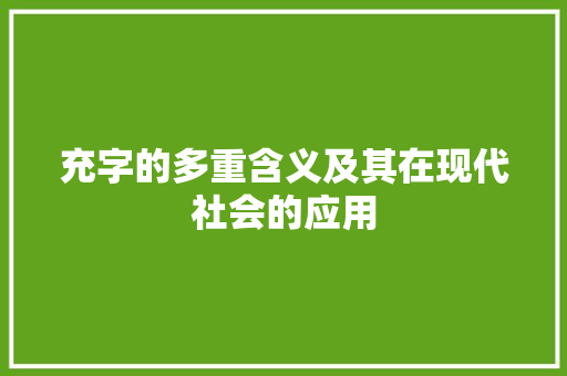 充字的多重含义及其在现代社会的应用