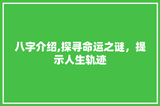 八字介绍,探寻命运之谜，提示人生轨迹