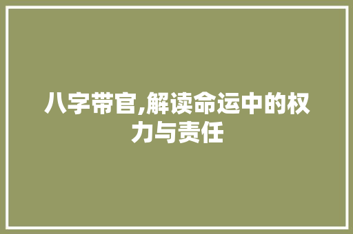 八字带官,解读命运中的权力与责任 商业文案