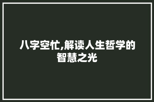 八字空忙,解读人生哲学的智慧之光 写作技巧