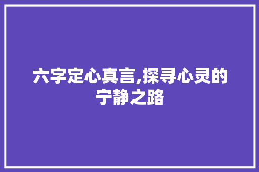 六字定心真言,探寻心灵的宁静之路 词汇积累