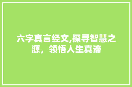 六字真言经文,探寻智慧之源，领悟人生真谛 商业文案