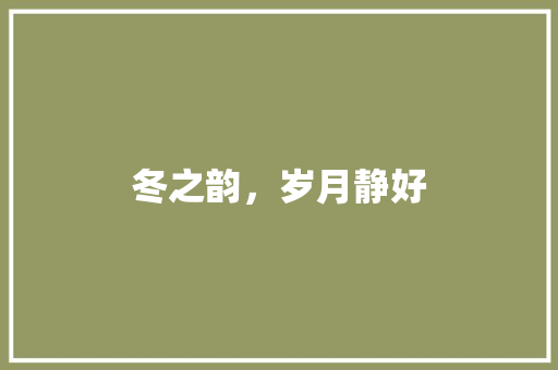 冬之韵，岁月静好