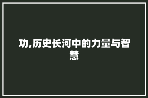 功,历史长河中的力量与智慧