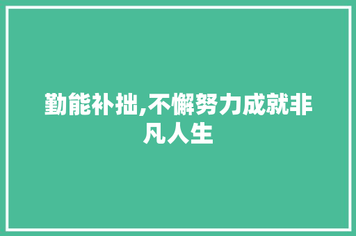 勤能补拙,不懈努力成就非凡人生