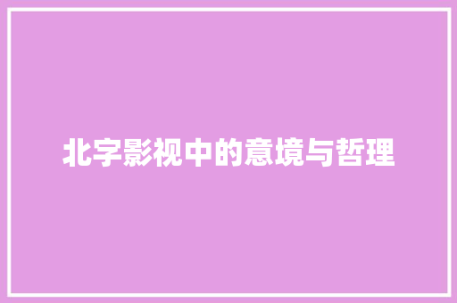 北字影视中的意境与哲理 报告写作