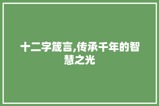 十二字箴言,传承千年的智慧之光 写作技巧