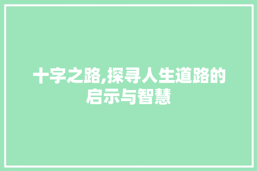 十字之路,探寻人生道路的启示与智慧 范文赏析