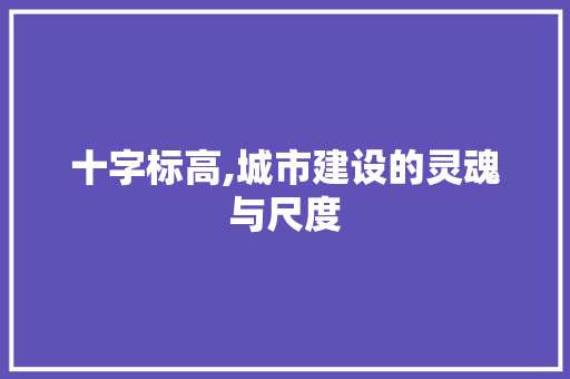十字标高,城市建设的灵魂与尺度