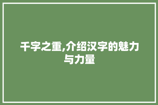 千字之重,介绍汉字的魅力与力量 报告写作