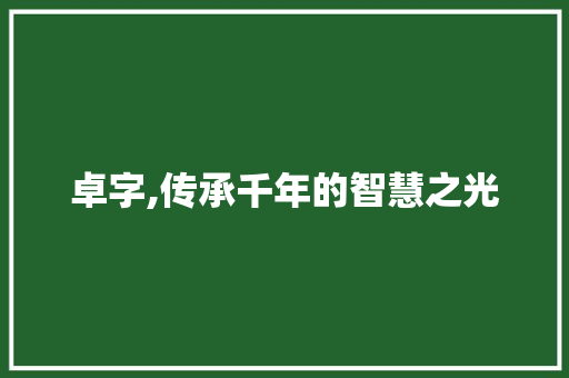 卓字,传承千年的智慧之光 写作社区
