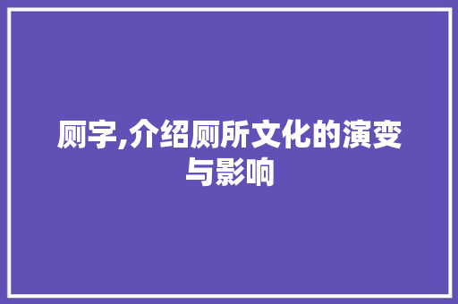 厕字,介绍厕所文化的演变与影响