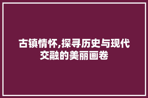 古镇情怀,探寻历史与现代交融的美丽画卷 词汇积累