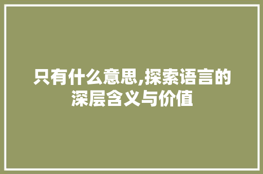 只有什么意思,探索语言的深层含义与价值 简历模板