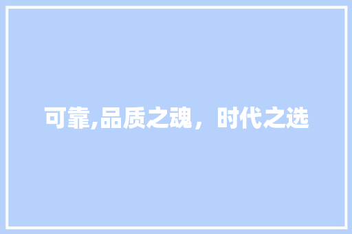 可靠,品质之魂，时代之选