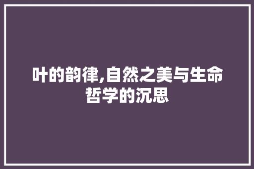 叶的韵律,自然之美与生命哲学的沉思