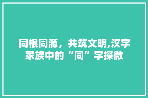 同根同源，共筑文明,汉字家族中的“同”字探微
