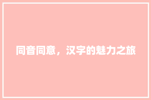 同音同意，汉字的魅力之旅